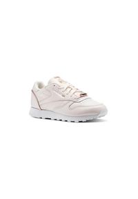 Buty do chodzenia damskie Reebok CL Lthr. Zapięcie: sznurówki. Kolor: wielokolorowy. Materiał: materiał, skóra. Szerokość cholewki: normalna. Sport: turystyka piesza