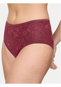 Triumph Figi klasyczne z wysokim stanem Amourette Charm 10216997 Różowy. Stan: podwyższony. Kolor: różowy. Materiał: syntetyk #5