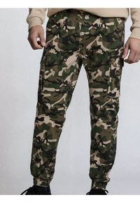 Sinsay - Spodnie jogger cargo ze wzorem moro - wielobarwny. Wzór: moro