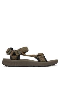 Teva Sandały Hydratrek 1150510 Zielony. Kolor: zielony. Materiał: materiał #1