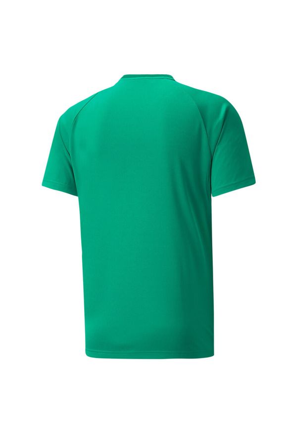 Koszulka Puma Team Vision. Kolor: zielony