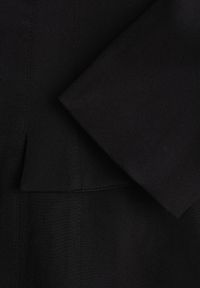 Born2be - Czarna Elegancka Sukienka VICES o Trapezowym Kroju z Imitacją Kieszeni Amaliete. Okazja: na spotkanie biznesowe. Kolor: czarny. Typ sukienki: trapezowe. Styl: elegancki #2