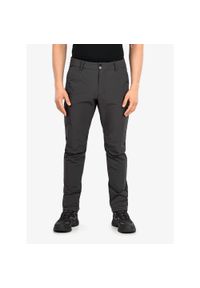 Spodnie turystyczne męskie Helly Hansen Brono Softshell Pant. Kolor: szary. Materiał: softshell. Sezon: zima. Sport: narciarstwo