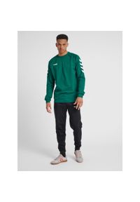 Bluza do piłki ręcznej męska Hummel Go Cotton Sweatshirt. Kolor: zielony