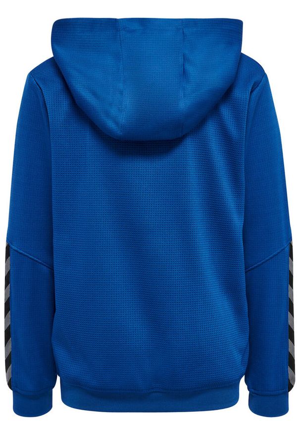 Bluza do piłki ręcznej dla dzieci Hummel hmlAUTHENTIC Poly. Kolor: niebieski. Sezon: zima