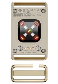 POLAR - Polar Loop szaro-złoty S-L. Kolor: szary, złoty, wielokolorowy. Materiał: polar #8