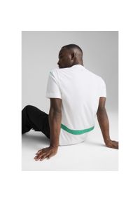 Puma - Męska koszulka domowa Senegal 2025 PUMA White Sport Green. Kolor: biały, wielokolorowy, zielony. Wzór: aplikacja