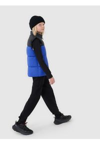 4f - 4F Bezrękawnik puchowy z wypełnieniem syntetycznym chłopięcy - niebieski 134 (8-9 lat). Okazja: na co dzień. Typ kołnierza: kołnierzyk stójkowy. Kolor: niebieski. Materiał: puch, syntetyk. Długość rękawa: bez rękawów. Długość: długie. Sezon: lato. Styl: casual, klasyczny, sportowy #2