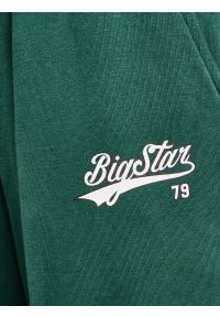 Big-Star - Spodnie dziewczęce dresowe wide zielone Rubiliapw 304. Okazja: do domu, na spacer. Kolor: zielony. Materiał: dresówka. Wzór: nadruk #6