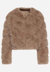 Born2be - Ciemnobeżowa Krótka Kurtka z Futerkiem na Haftki Loreinda. Okazja: na co dzień. Kolor: beżowy. Materiał: futro. Długość: krótkie. Styl: casual, elegancki #4