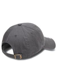 Czapka z Daszkiem unisex Oakley Remix Dad Hat. Kolor: szary