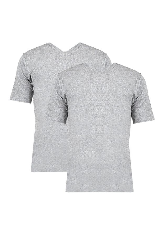 Pepe Jeans T-Shirt "2-Pack Aiden" | PM503655 | Mężczyzna | Szary. Okazja: na co dzień. Typ kołnierza: dekolt w kształcie V. Kolor: szary. Materiał: bawełna. Wzór: aplikacja. Styl: casual