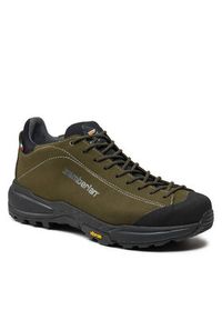 Zamberlan Trekkingi 217 Free Blast Gtx GORE-TEX 0217PM0G Zielony. Kolor: zielony. Materiał: skóra. Technologia: Gore-Tex. Sport: turystyka piesza