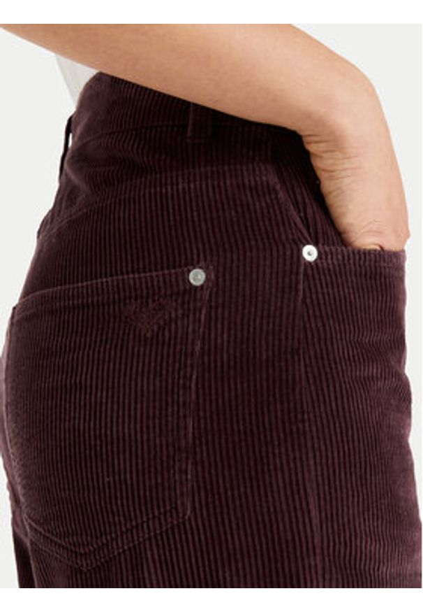 Roxy Spodnie materiałowe Surf On Cloud Cord ERJNP03678 Brązowy Regular Fit. Kolor: brązowy. Materiał: bawełna