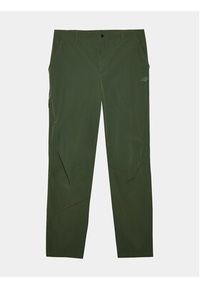 4f - 4F Spodnie outdoor 4FWSS24TFTRM483 Zielony Regular Fit. Kolor: zielony. Materiał: syntetyk. Sport: outdoor #6