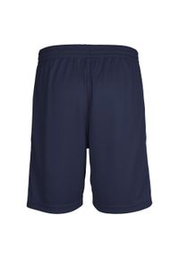 Spodenki sportowe męskie Hummel Core Poly Shorts. Kolor: niebieski