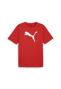 Koszulka męska Puma Team Rise Logo Jersey Cotton. Kolor: czerwony, biały, wielokolorowy. Materiał: jersey. Sport: fitness, piłka nożna