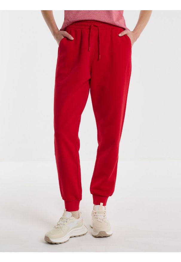 Big-Star - Spodnie dresowe damskie czerwone Foxie 603/ Megan 603. Kolor: czerwony. Materiał: dresówka. Wzór: haft, aplikacja