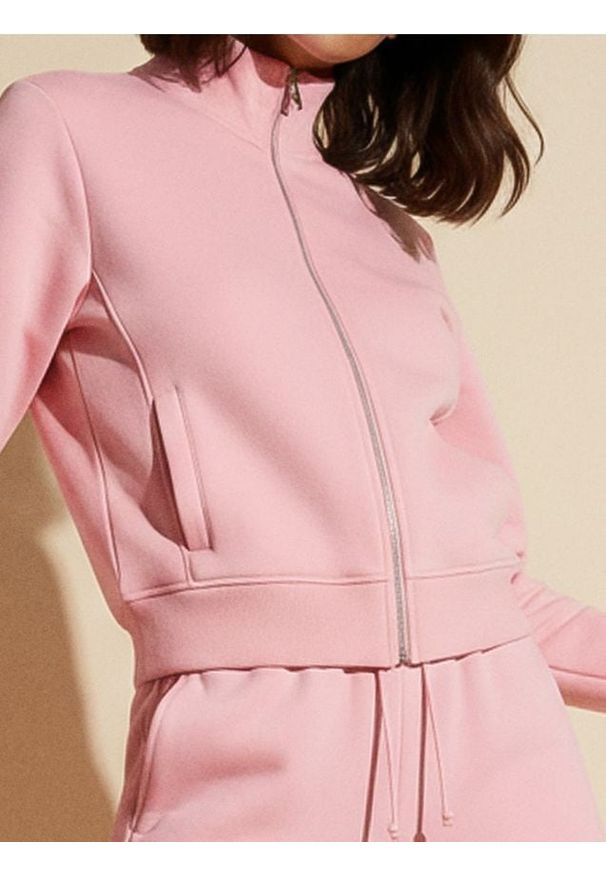 Sinsay - Gładka bluza ze stójką - różowy. Typ kołnierza: kołnierzyk stójkowy. Kolor: różowy. Wzór: gładki