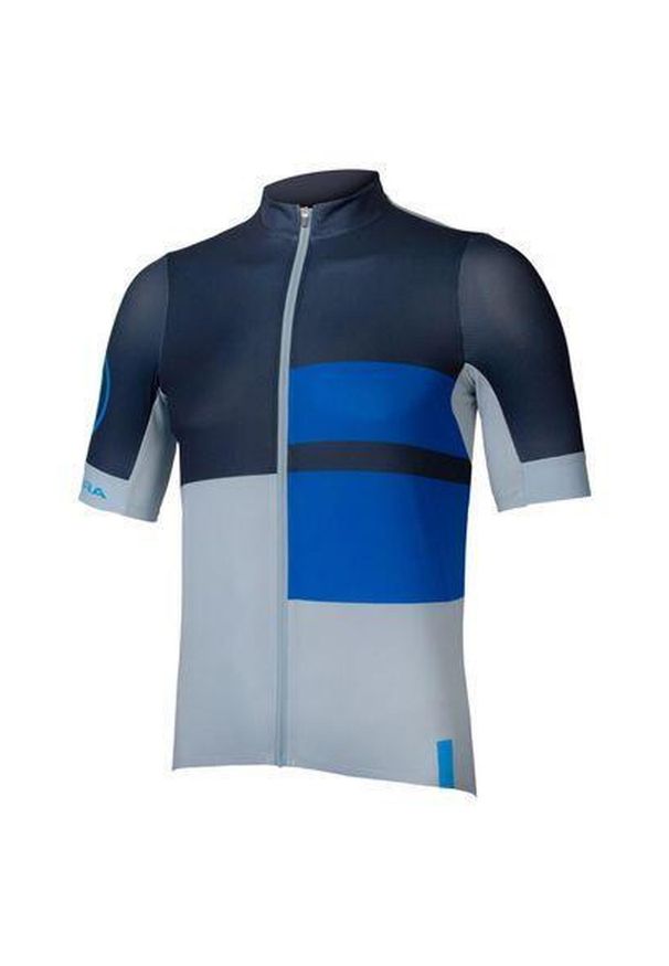 ENDURA - Koszulka rowerowa męska Endura FS260 Print S/S ink. Kolor: niebieski. Wzór: nadruk. Sport: kolarstwo