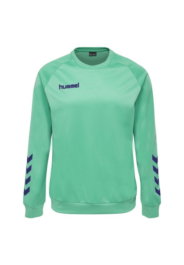 Bluza do piłki ręcznej dla dorosłych Hummel Promo Poly Sweatshirt. Kolor: wielokolorowy, niebieski, zielony. Sport: piłka ręczna