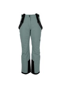 Spodnie narciarskie dla kobiet Whistler Yarra W-Pro 15000. Kolor: zielony. Sezon: zima. Sport: narciarstwo #1