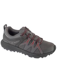columbia - Buty trekkingowe męskie, Peakfreak Roam WP. Kolor: szary. Sport: turystyka piesza