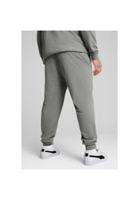 Puma - Męskie spodnie Essentials z logo No. 1 z dżerseju PUMA Medium Gray Heather. Kolor: szary. Materiał: jersey