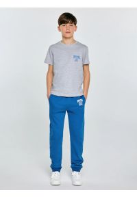 Big-Star - Koszulka chłopięca z nadrukiem szara Rafer 902. Kolor: szary. Materiał: dzianina, materiał, dresówka, skóra, jeans. Wzór: nadruk. Styl: sportowy, klasyczny, młodzieżowy #6