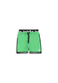 Szorty pływackie dziecięce Lemon Explore WL4. Kolor: zielony. Materiał: poliester #1