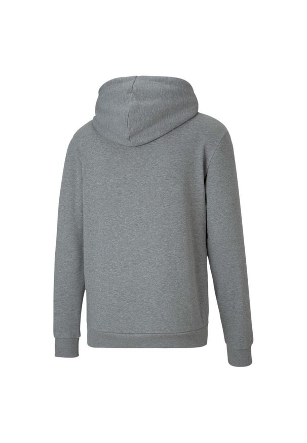 Bluza treningowa męska Puma teamGOAL 23 Causals Hoody. Kolor: czarny, szary, wielokolorowy. Materiał: poliester. Sport: fitness