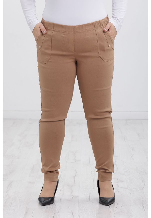 Nasi partnerzy - Klasyczne beżowe spodnie Nita ze zwężoną nogawką PLUS SIZE XXL. Okazja: na co dzień, na spacer, do pracy. Kolekcja: plus size. Kolor: beżowy. Materiał: materiał, tkanina, poliester, elastan, włókno, wiskoza. Długość: krótkie. Styl: klasyczny