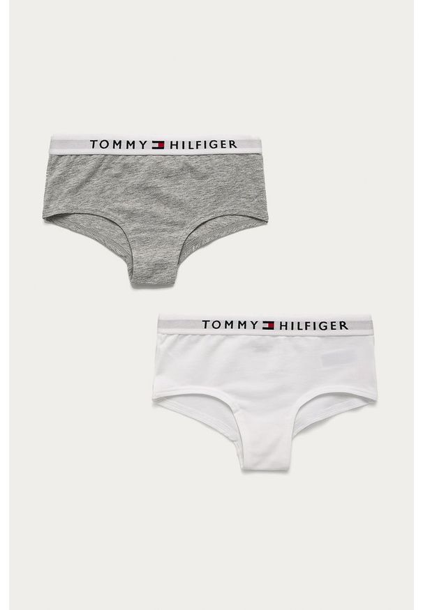 TOMMY HILFIGER - Tommy Hilfiger - Figi dziecięce (2-pack). Kolor: szary. Materiał: bawełna, dzianina, poliamid, elastan, poliester. Wzór: nadruk