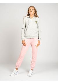 Trussardi Jeans - Trussardi Sport Bluza | 44F000231T000657 | Kobieta | Szary. Okazja: na co dzień. Typ kołnierza: kaptur. Kolor: szary. Materiał: bawełna. Wzór: nadruk. Styl: sportowy #3