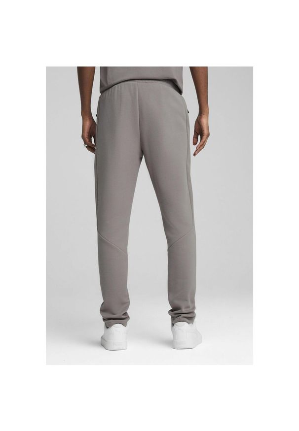 Puma - Męskie spodnie EVOSTRIPE PUMA Cast Iron Gray. Kolor: szary