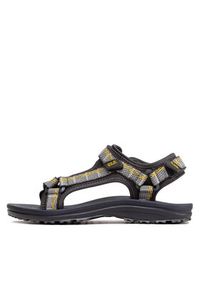 Jack Wolfskin Sandały Wave Breaker M 4052011 Szary. Kolor: szary. Materiał: materiał #3