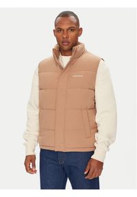 Guess Kamizelka M4BN47 WGII2 Beżowy Regular Fit. Kolor: beżowy. Materiał: syntetyk