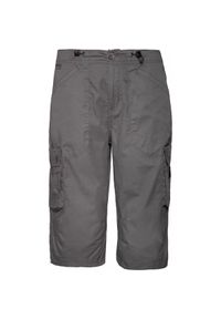 Krótka Protest Foolsgold 20 3/4. Kolor: szary. Długość: krótkie. Sezon: lato #1