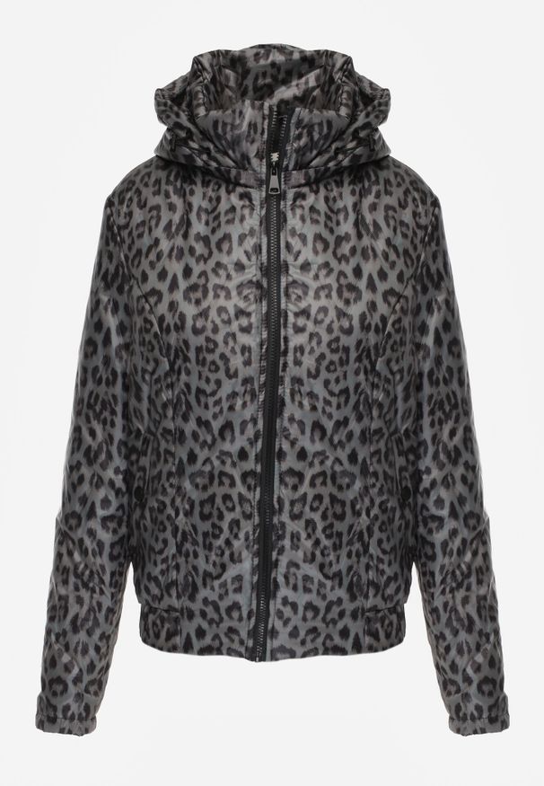 Born2be - Czarno-Zielona Kurtka Przejściowa w Panterkę z Odpinanym Kapturem Antolea. Kolor: zielony. Materiał: jeans, poliester. Wzór: motyw zwierzęcy. Styl: klasyczny