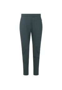 ENDURANCE - Spodnie narciarskie dla kobiet Endurance Eluna Primaloft WB. Kolor: zielony. Technologia: Primaloft. Sport: narciarstwo #1