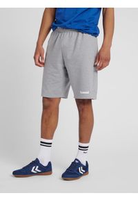 Spodenki sportowe męskie Hummel Go Cotton Bermuda Shorts. Kolor: szary