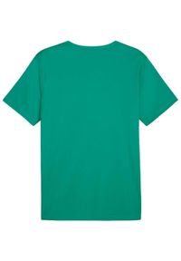Koszulka męska Puma teamRISE Matchday Jersey. Kolor: zielony. Materiał: jersey
