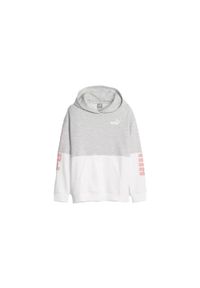 Puma - Bluza sportowa dla dzieci Power Colorblock Fl. Kolor: szary