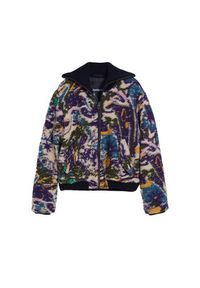 Desigual Kurtka bomber Alfa 25WWEW66 Kolorowy Regular Fit. Materiał: syntetyk. Wzór: kolorowy