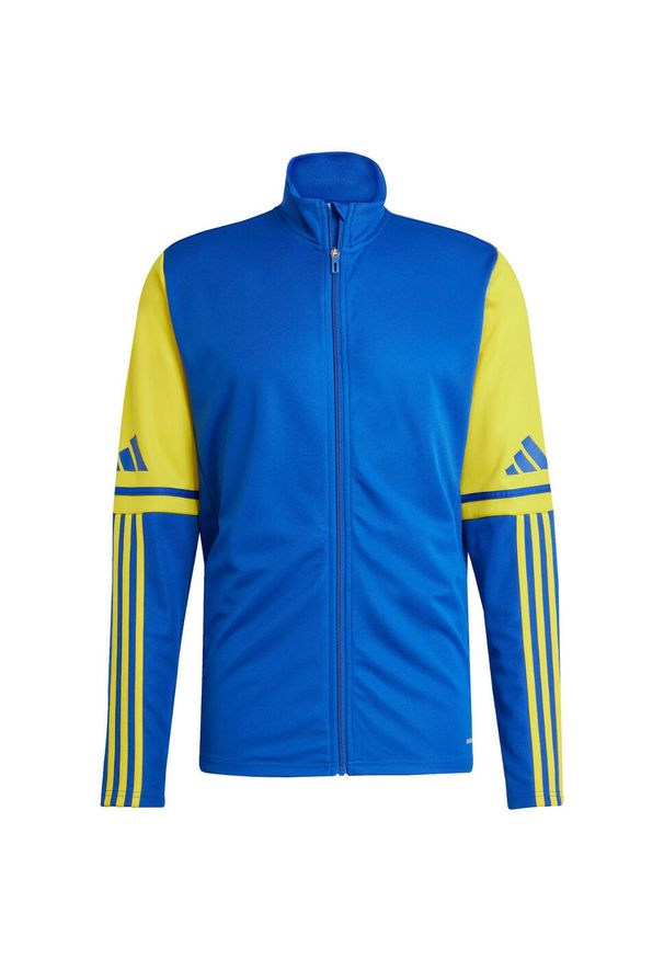 Adidas - Bluza męska adidas Squadra 25 Training. Kolor: żółty, niebieski, wielokolorowy