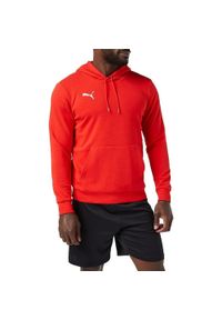 Bluza Puma TeamGoal 23 Casuals męska. Kolor: czerwony