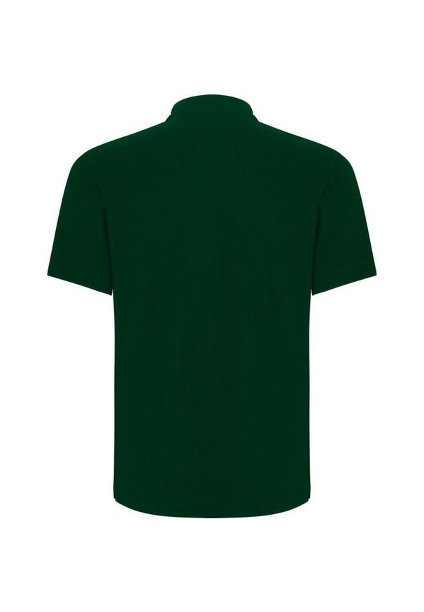 ROLY - Koszulka Polo Z Krótkim Rękawem Dla Dorosłych Unisex Centauro Premium. Typ kołnierza: polo. Kolor: zielony. Długość rękawa: krótki rękaw. Długość: krótkie