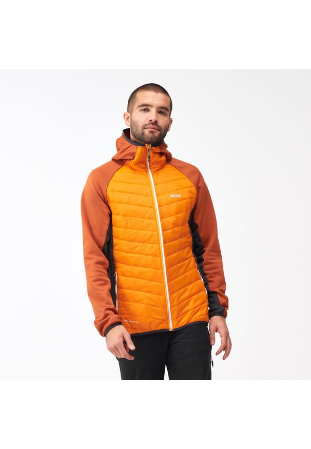 Regatta - Kurtka turystyczna hybrydowa męska Andreson VIII. Typ kołnierza: kaptur. Kolor: żółty, pomarańczowy, wielokolorowy. Materiał: poliamid. Sezon: zima. Sport: narciarstwo
