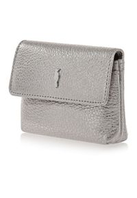 Ochnik - Mały srebrny skórzany portfel z łańcuszkiem. Kolor: srebrny. Materiał: skóra