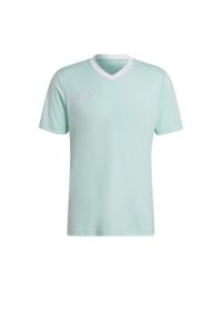 Adidas - Koszulka piłkarska męska adidas Entrada 22 Jersey. Kolor: wielokolorowy, turkusowy, zielony. Materiał: jersey. Sport: piłka nożna
